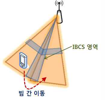 IBCS 적용 영역