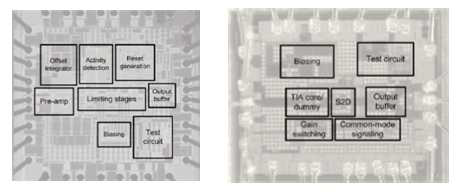 BM-TIA와 BM-LA의 칩 사진
