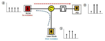 RSOA 의 cross gain modulation 현상