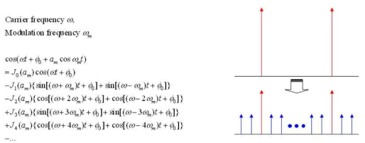 phase modulation에 의한 side-modes 발생