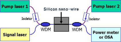 실리콘 나노 와이어를 이용한 라만 증폭기 구조