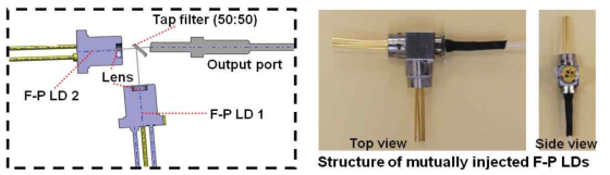 Mutual Injection F-P LD의 구조도