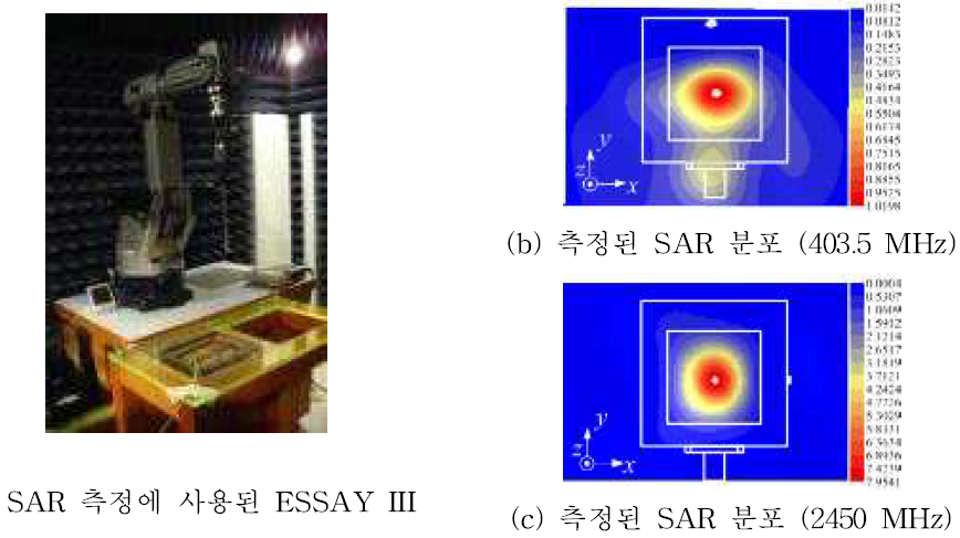 각 공진 주파수에서 측정된 SAR 분포