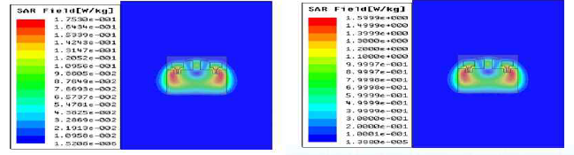 SAR 모의실험 결과