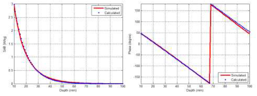 계산과 모의 실험된 433 MHz 방사체의 인체 깊이 방향에 따른 전자파 흡수율과 전기장의 위상