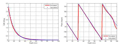 계산과 모의 실험된 915 MHz 방사체의 인체 깊이 방향에 따른 전자파 흡수율과 전기장의 위상