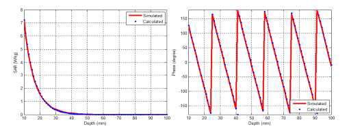 계산과 모의 실험된 2450 MHz 방사체의 인체 깊이 방향에 따른 전자파 흡수율과 전기장의 위상