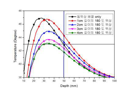 중심소자의 위상에 따른 인체 깊이 방향으로의 온도 분포