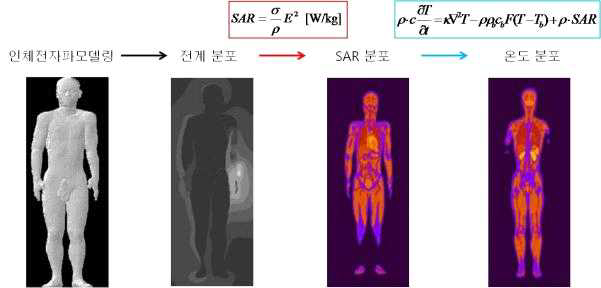 인체의 전자파 특성 분석 적용방법