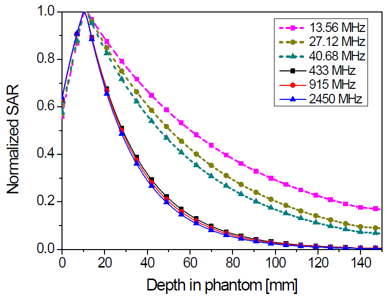 평면파 입사시 주파수에 따른 인체 모델에서의 전자파 흡수율