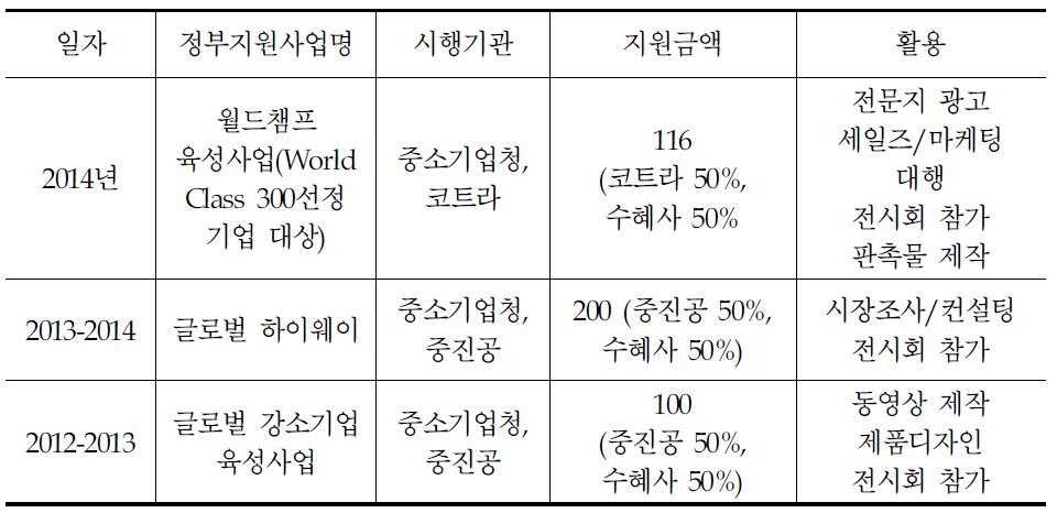 A사의 마케팅 분야 정부지원 사업