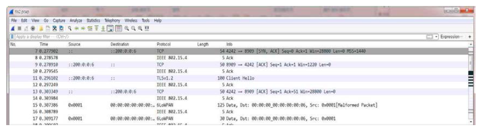 Wireshark TLS 패킷 덤프 화면