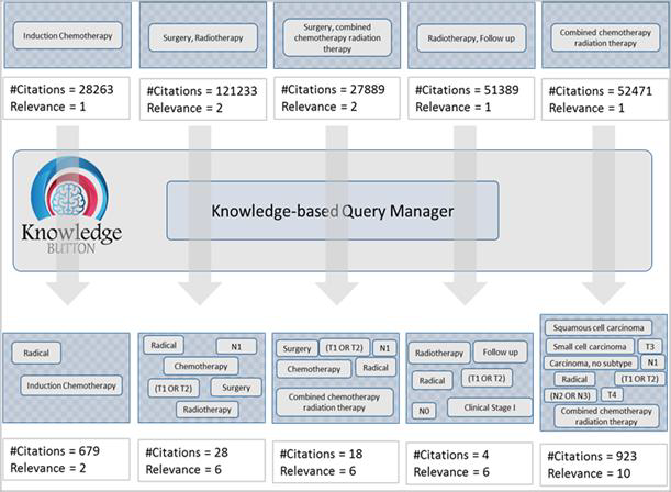 PICO compliant knowledge-based queries results showing number of citations and number of relevant terms with the query.