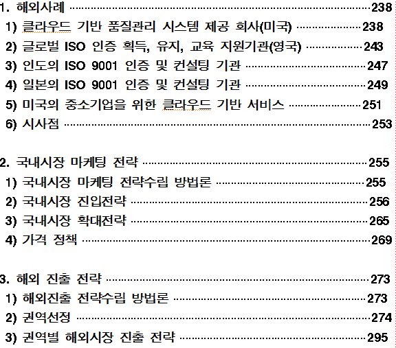 국내외 마케팅 전략 수립 목차