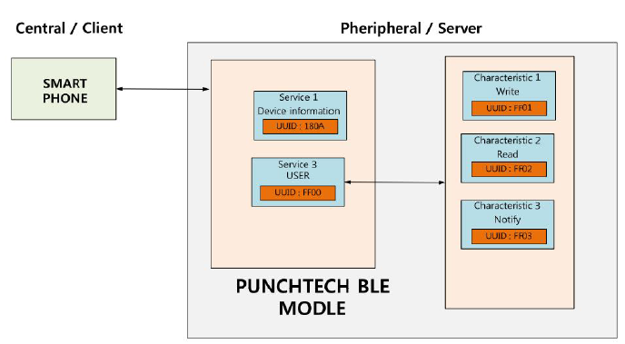 Intsain BLE SSP 개념도