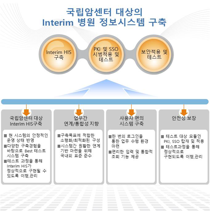 Interim HIS 구축 목표 및 방안