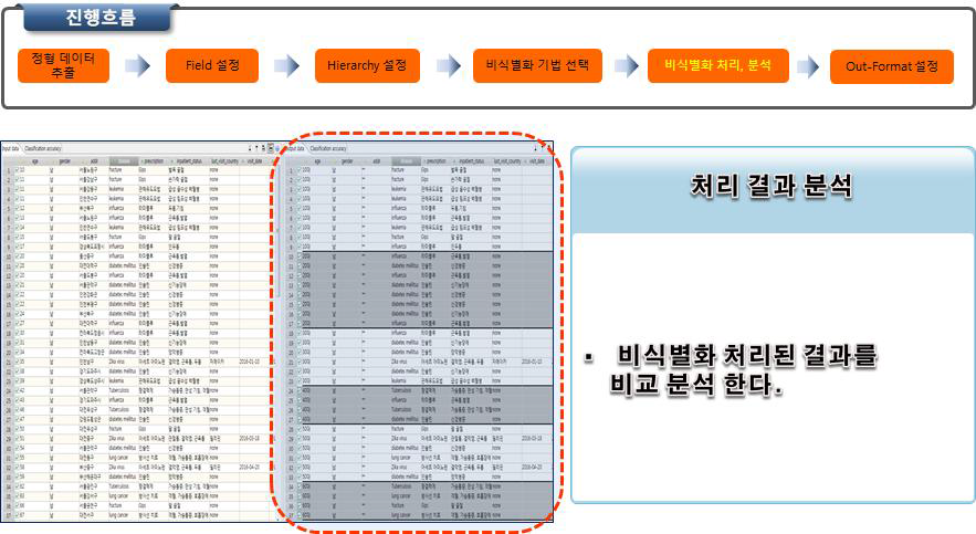 정형 데이터의 비식별화 처리 모듈_비식별화 처리, 분석