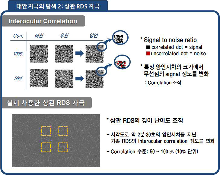 상관 RDS 자극의 특성