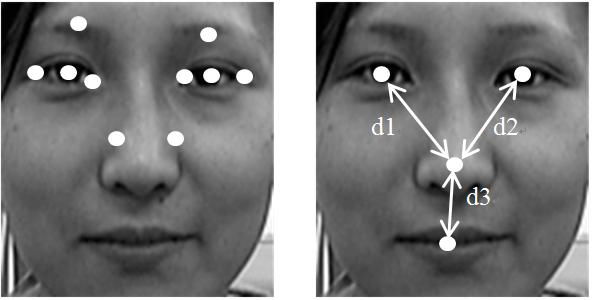 눈 후보점과 얼굴 요소간의 거리
