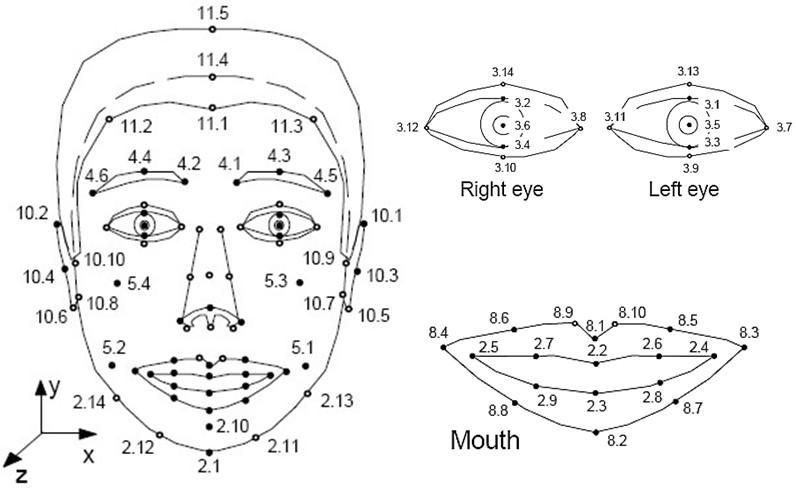 ISO/IEC 14496-2에서 규정된 얼굴 특징점 들