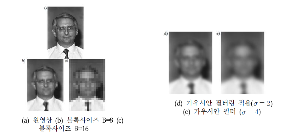 영상 블록화와 블러링에 대한 개인영상 마스킹