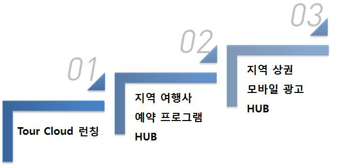 사업화 계획 개요