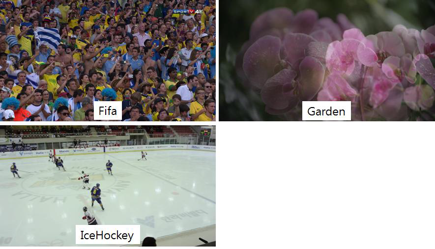 실험 콘텐츠 화면 캡쳐–Fifa, Garden, IceHockey