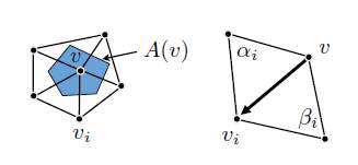 Laplace-Beltrami를 위한 면적 A(v) 와 각도 αi와 βi