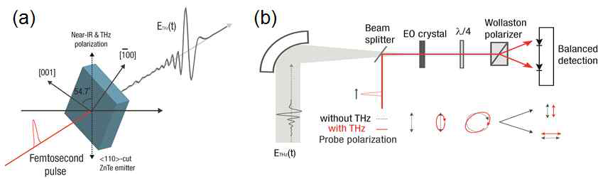 (a) 광정류 방법을 통한 T-ray 발생 원리. (b) 전기광학 검출방법을 이용한 T-ray 검출 원리.