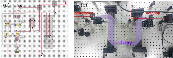 (a) 1 kHz laser 시스템을 이용한 광대역 T-ray 발생 및 검출 시스템 개요도 및 (b) T-ray 발생 및 검출 부분.