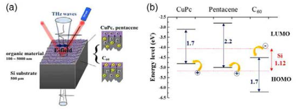 (a) cw 다이오드 레이저와 T-ray 분광시스템을 이용한 광여 기 특성 분석 개요도. (b) CuPc, Pentacene, C60와 실리콘 이층구조의 HOMO-LUMO 에너지 레벨.