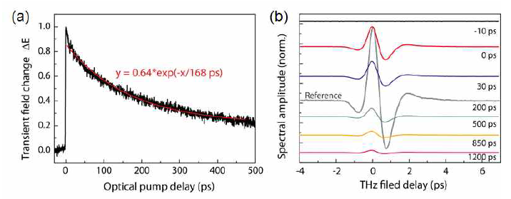 (a) LT-GaAs의 광여기에 의해 생성되는 THz peak 신호의 차이 (b) -10 ps, 0ps, 30 ps, 200 ps, 500 ps, 850 ps, 1200 ps 에서의 THz 신호의 차이