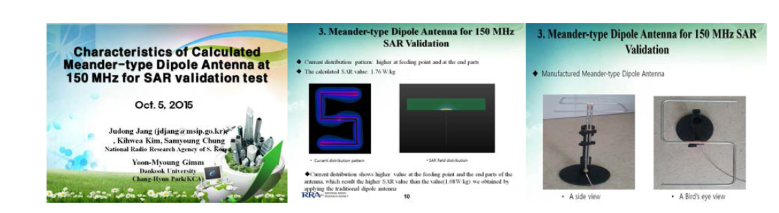 150 MHz 미앤더 타입 다이폴 안테나 SAR 검증