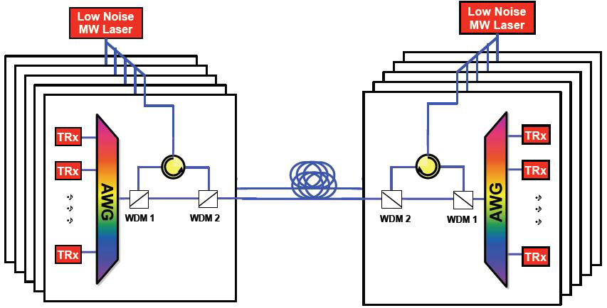 파장무관 (Port-agnostic) 메트로 WDM 기술 표준개발 개념도