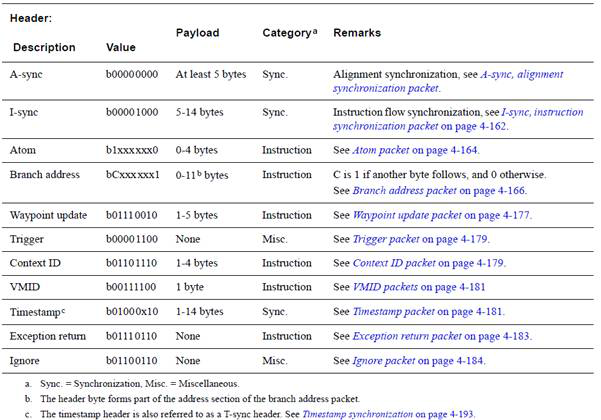 PTM packet format