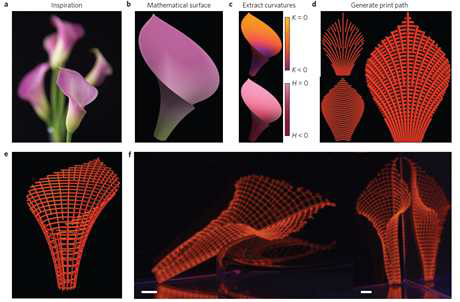 cellulose fibril이 첨가된 하이드로젤을 이용한 3D 프린팅
