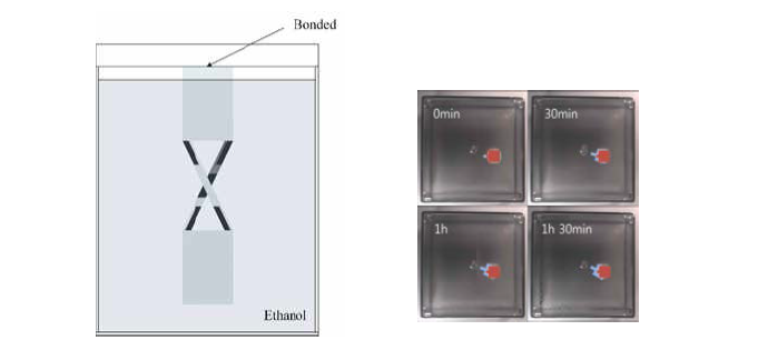 에탄올 자극 실험 조건과 시간에 따른 kinetic component의 변화