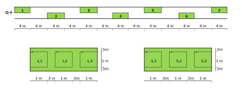 Representative zone of vegetation patches