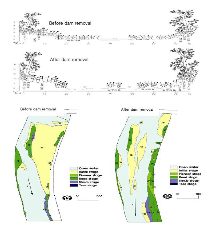 보 철거에 따른 식생분포의 변화