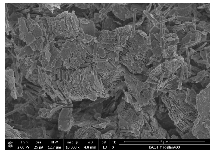 Kaolinite SEM 사진.