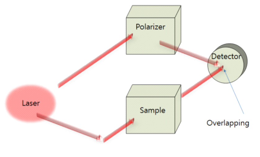 Fs-THz Laser Spectroscopy.