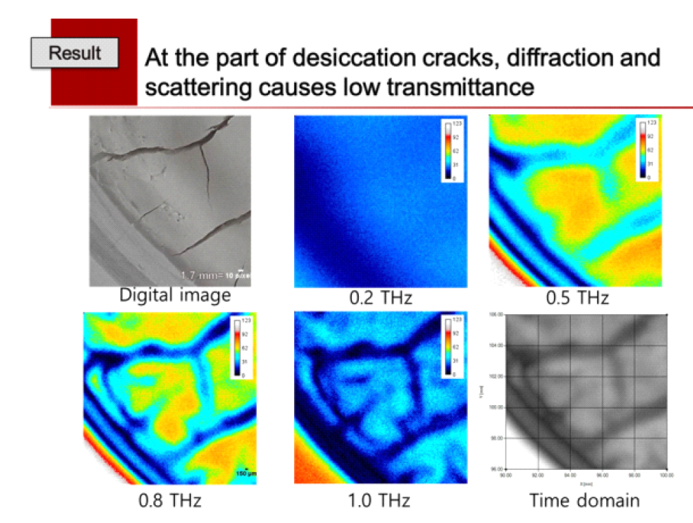 Time domain THz펄스를 FFT 분석기법으로 주파수 영역으로 변환한 뒤, 이를 주파수별로 영상화한 데이터