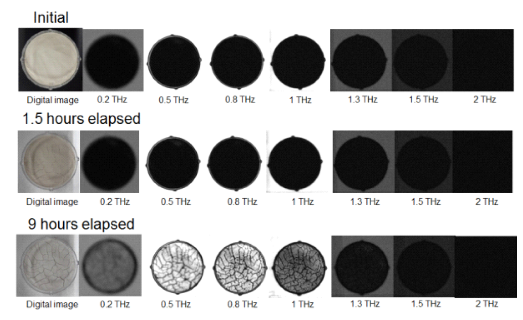 시간에 따른 샘플에 대한 테라헤르츠 영역별 투과 이미지.