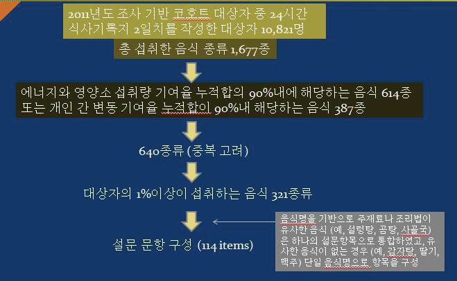 FFQ 개발 모식도