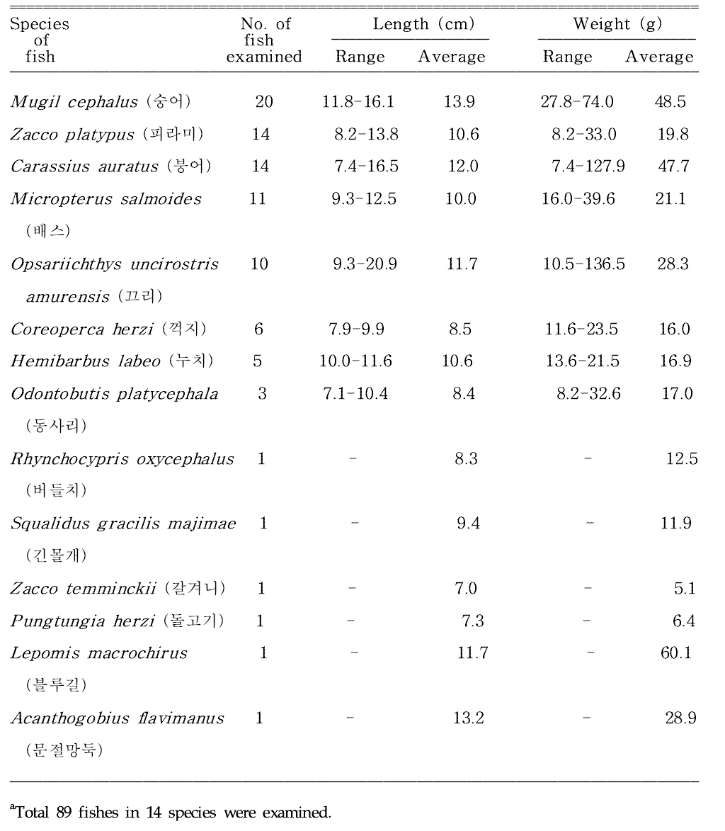 Fishes collected from Taehwagang (River) located in Ulsan Metropolitan City, Korea