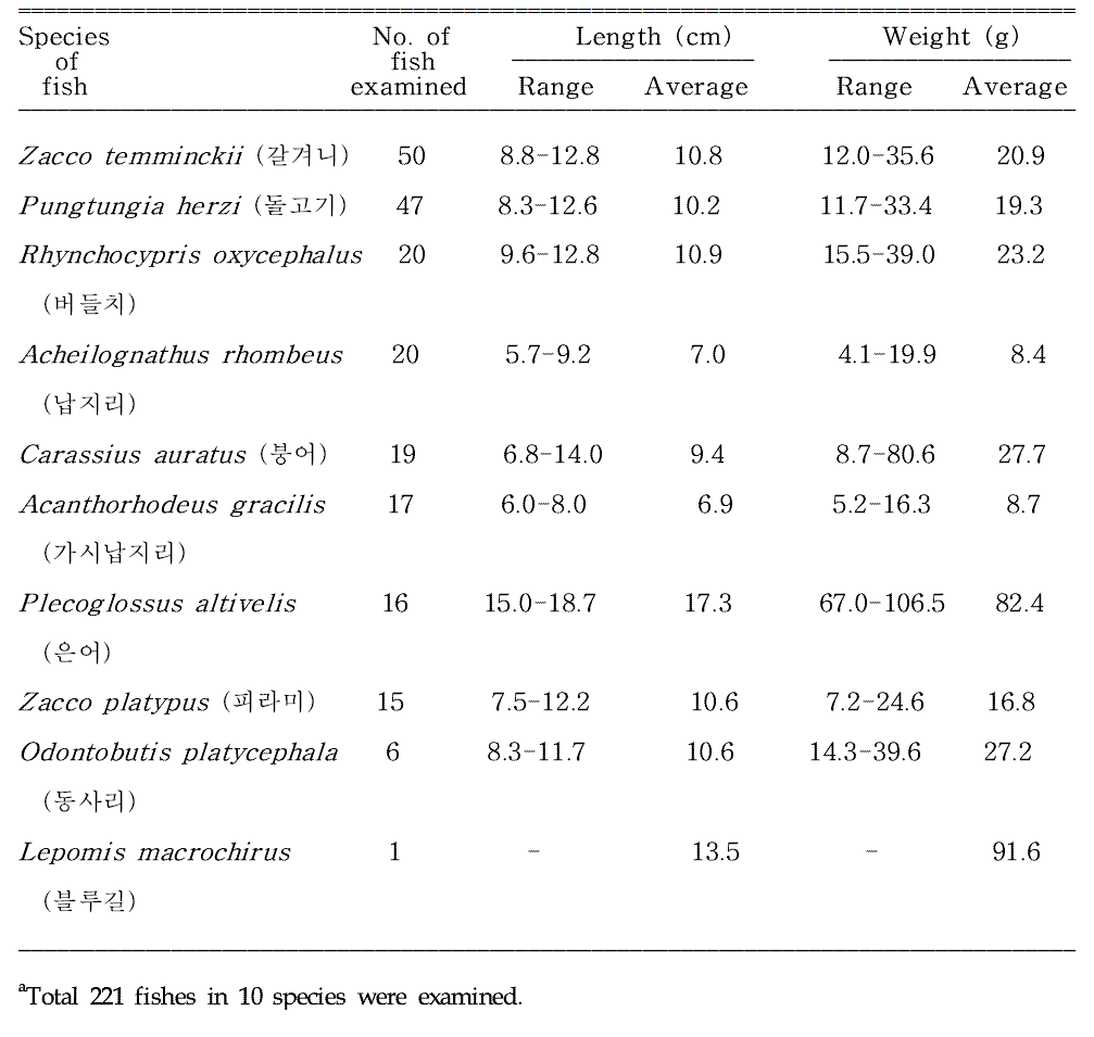 Freshwater fishesa collected from Cheokgwacheon, a branch of Taehwagang (River) located in Ulsan Metropolitan City, Korea