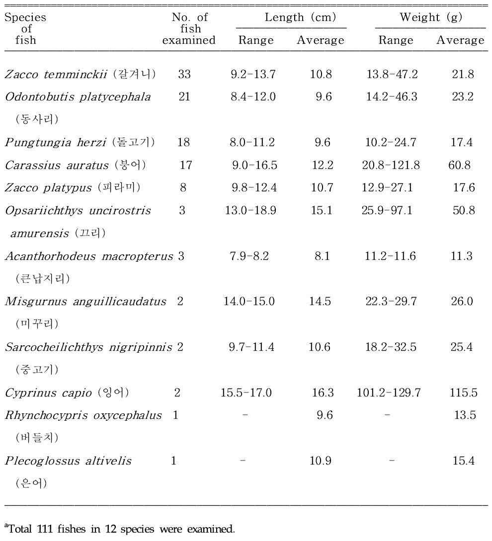 Freshwater fishesa collected from Gigyecheon, a branch of Hyeongsangang (River) located in Gyeongju-si, Korea