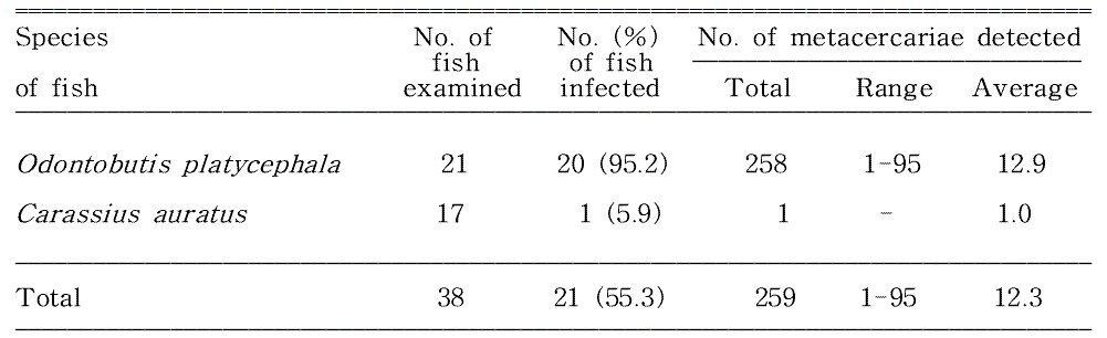 Infection status of Echinostoma sp. metacercariae by the species of fish from Gigyecheon, a branch of Hyeongsangang (River) located in Gyeongju-si, Korea