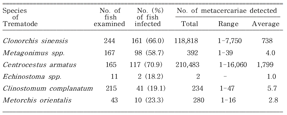 Overall infection status of zoonotic trematode metacercariae in fishes from Wicheon in Gunwi-gun, Gyeongsangbuk-do, Korea