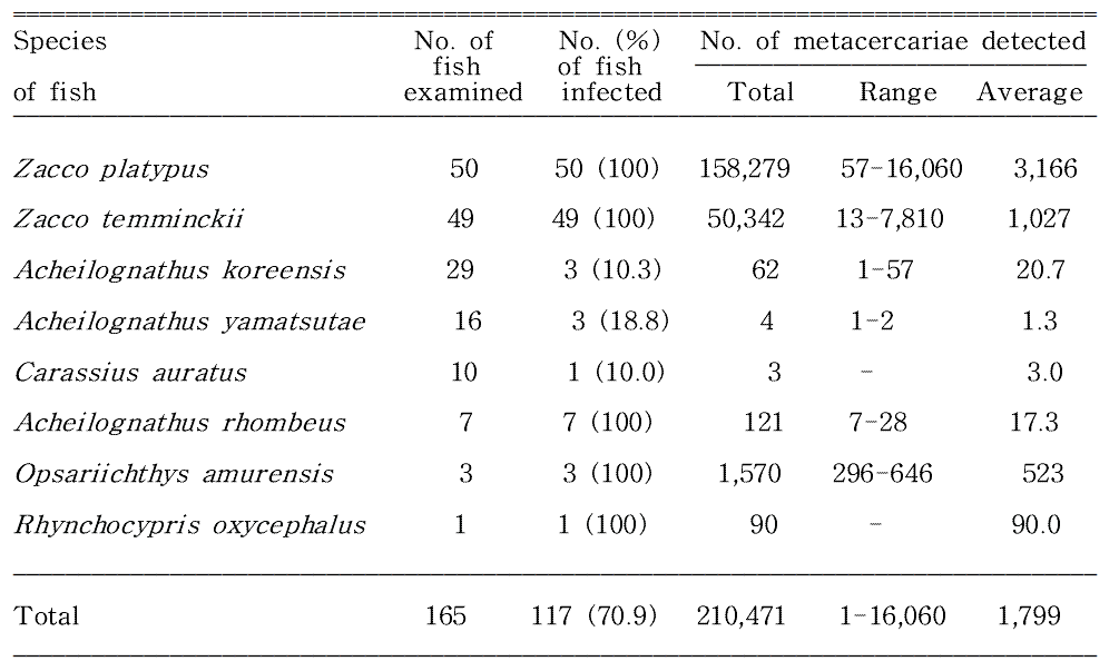 Infection status of Centrocestus armatus metacercariae in fishes from Wicheon in Gunwi-gun, Gyeongsangbuk-do